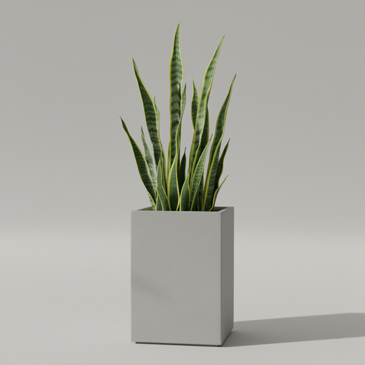 Square Plant Pot