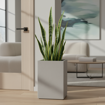 Square Plant Pot